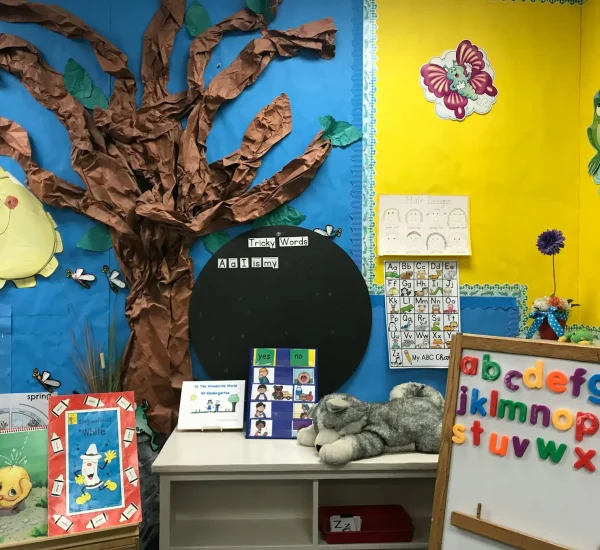 diploma in montessori, kindergarten, nursery education